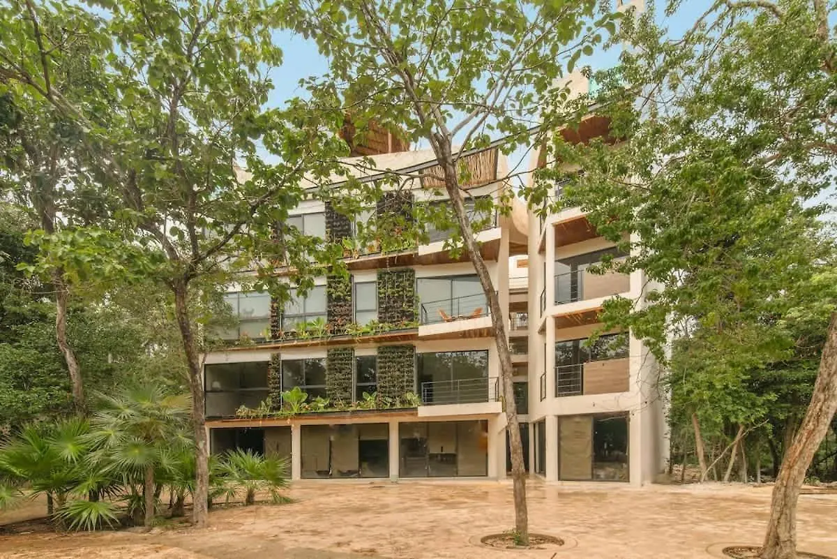 4 Pax Luxury Condo Pool Acces Tulum Apartment